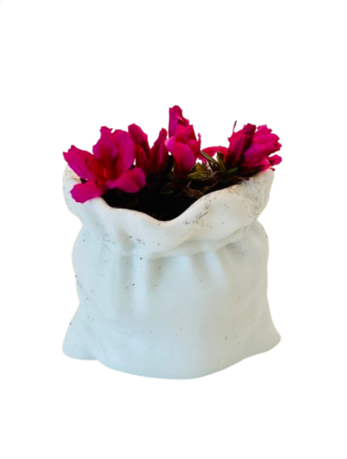 Pillow Planter - Pixel Forge