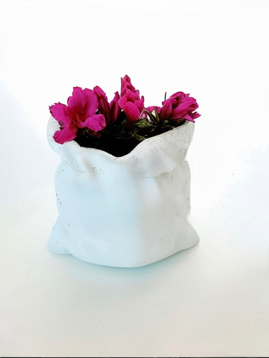 Pillow Planter