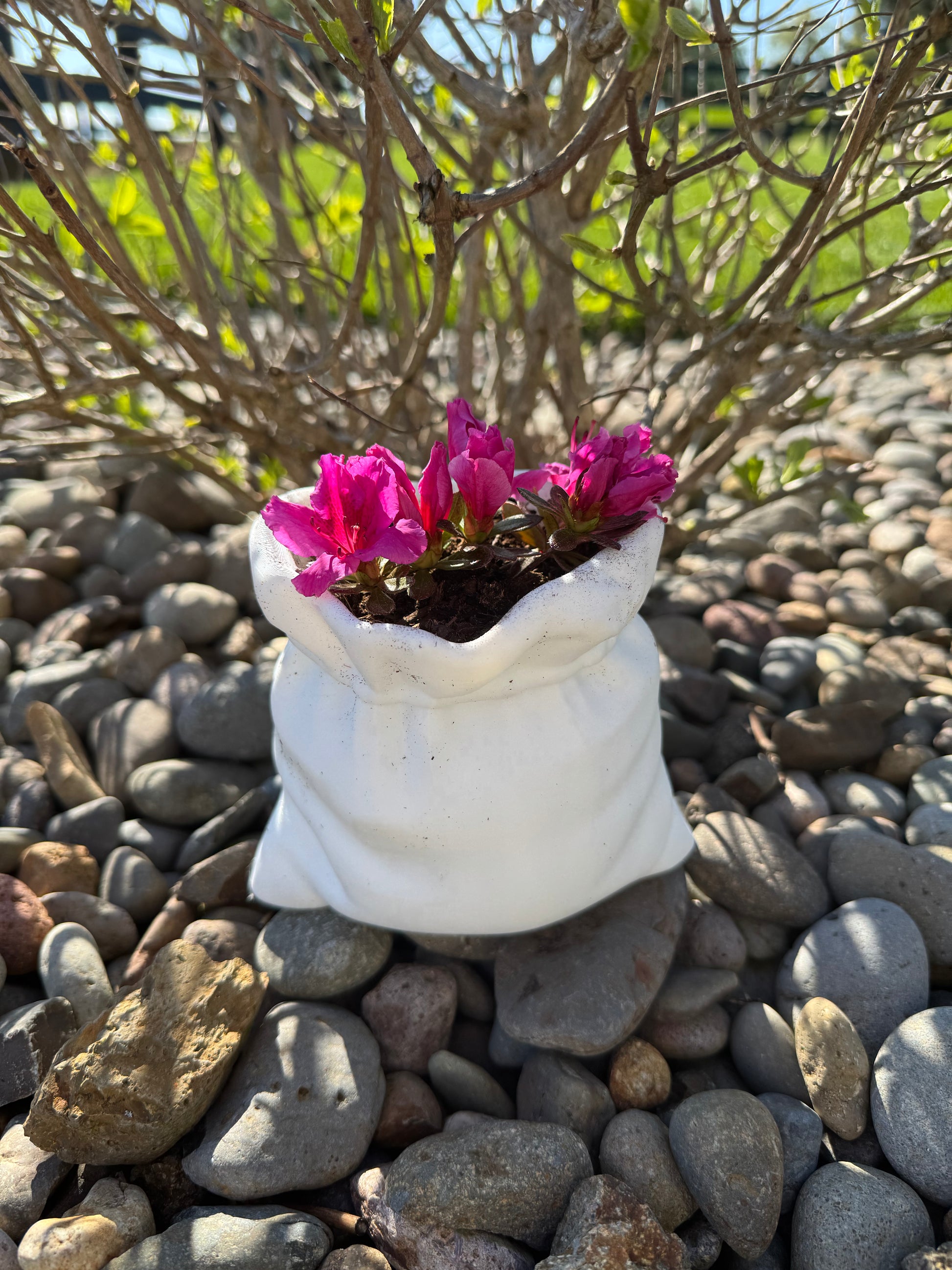 Pillow Planter - Pixel Forge
